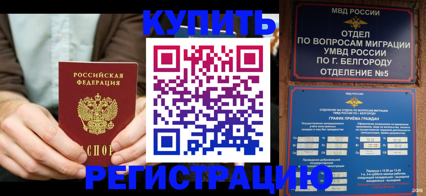 прописка 2025 в Благовещенске